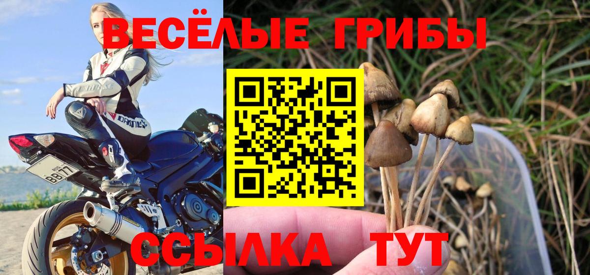 Галлюциногенные грибы мицелий  Вход с VPN  Новозыбков 